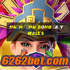 nhận định bóng đá ý wales