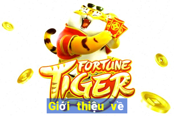 Giới thiệu về Big Lotto