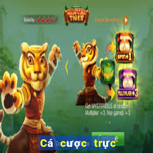 Cá cược trực tuyến gnbet