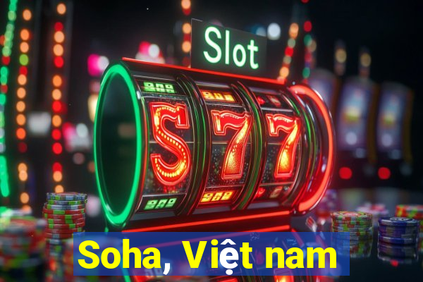 Soha, Việt nam