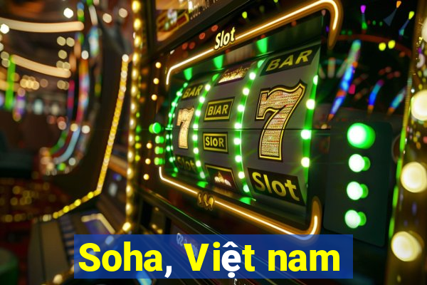 Soha, Việt nam