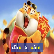 đầu 5 câm đánh con gì