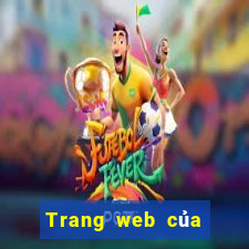 Trang web của Color 81