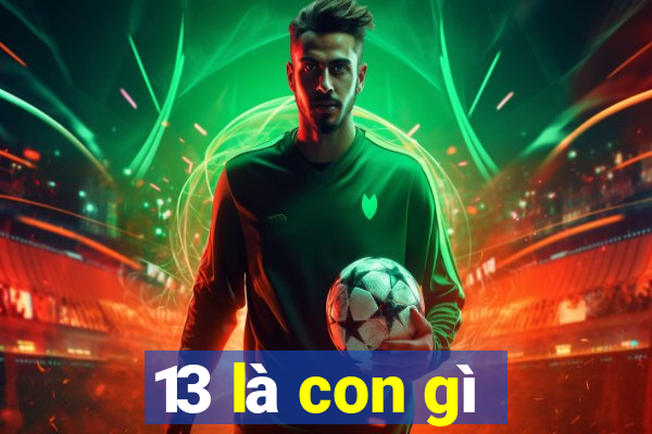 13 là con gì