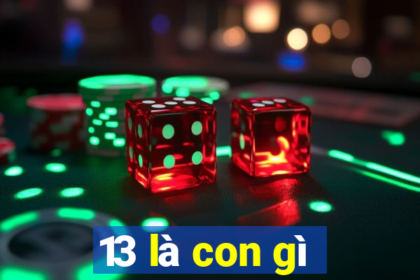 13 là con gì