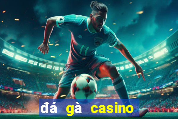 đá gà casino bữa nay