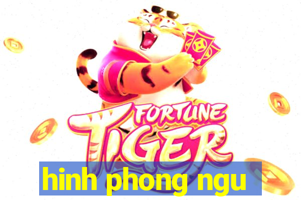 hinh phong ngu