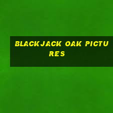 blackjack oak pictures