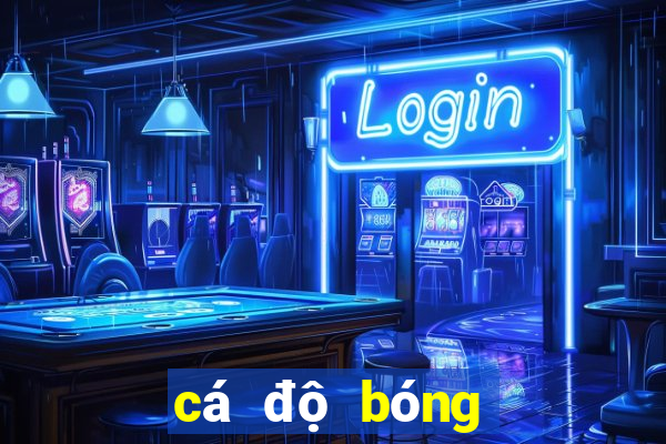 cá độ bóng đá uy tín