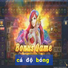 cá độ bóng đá uy tín