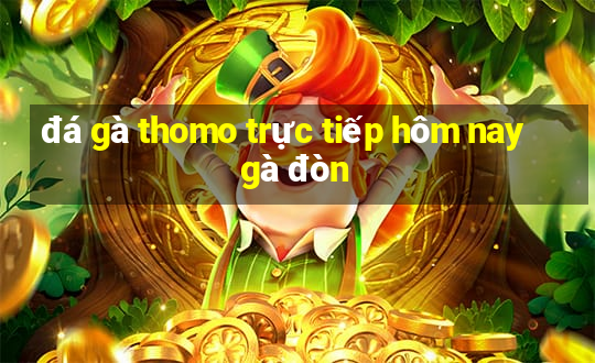 đá gà thomo trực tiếp hôm nay gà đòn