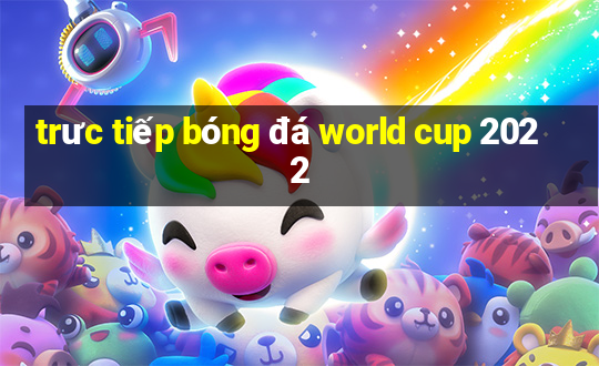 trưc tiếp bóng đá world cup 2022