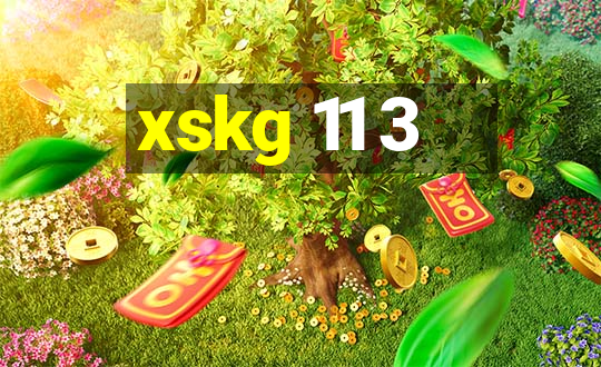 xskg 11 3