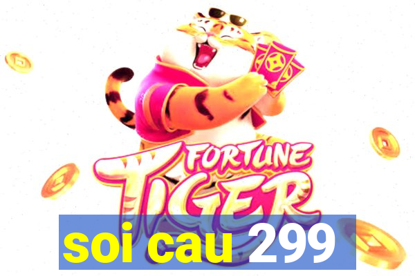 soi cau 299