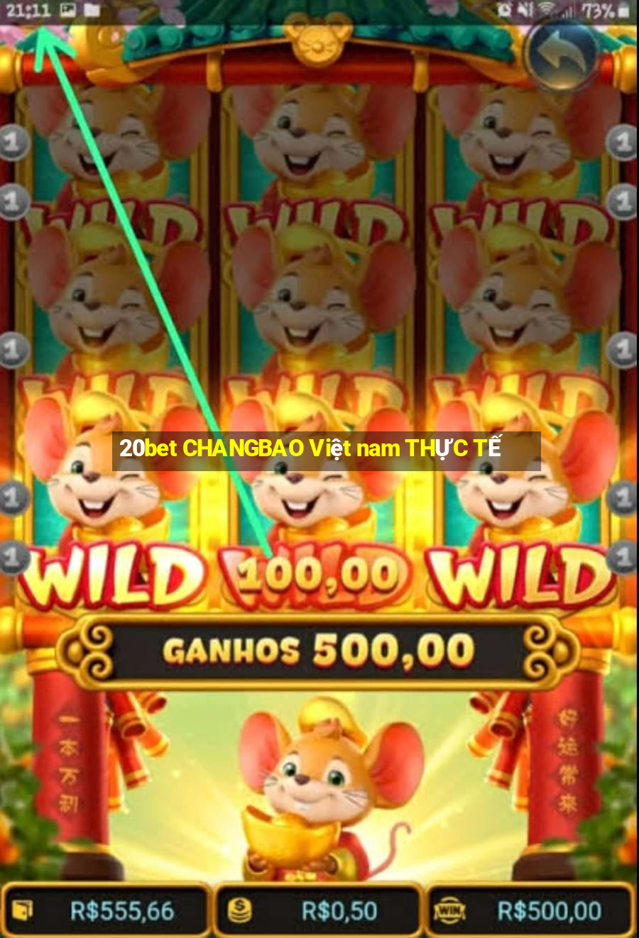 20bet CHANGBAO Việt nam THỰC TẾ