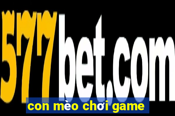 con mèo chơi game