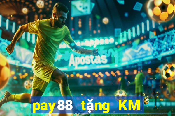 pay88 tặng KM hấp dẫn