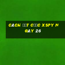 Cách đặt cược XSPY ngày 26