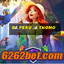 gà peru đá thomo