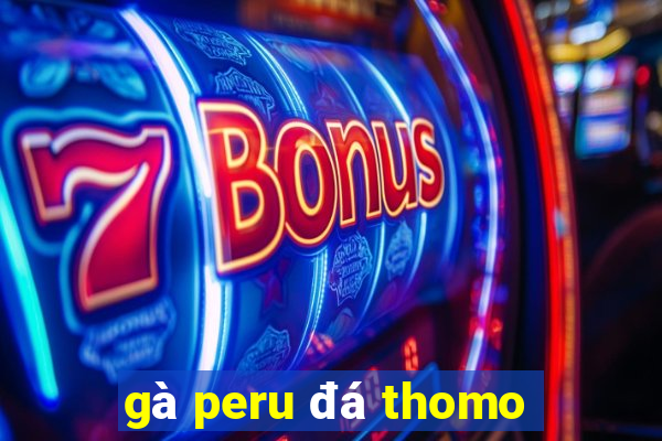 gà peru đá thomo