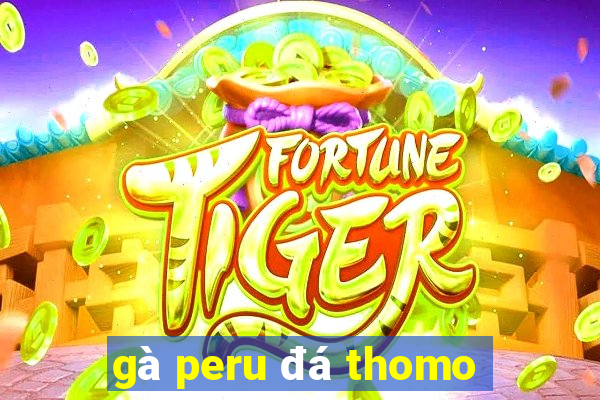 gà peru đá thomo