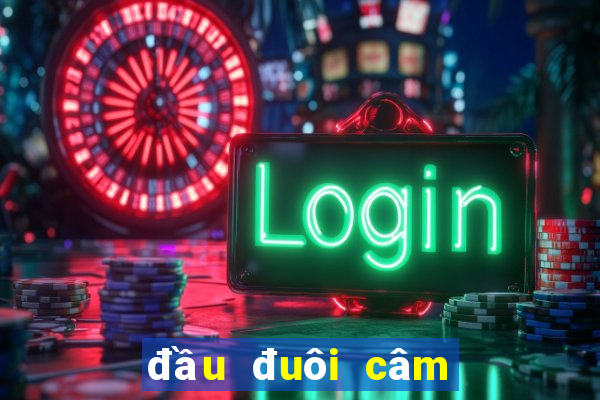 đầu đuôi câm đánh con gì