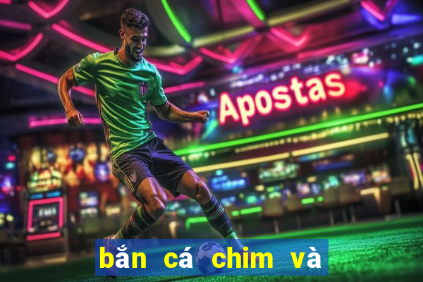 bắn cá chim và động vật