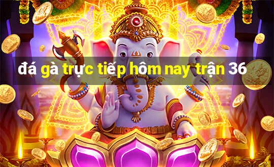 đá gà trực tiếp hôm nay trận 36