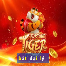 bắt đại lý game bài