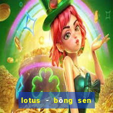 lotus - bông sen việt nam