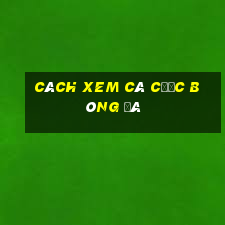 cách xem cá cược bóng đá