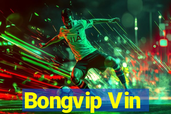 Bongvip Vin