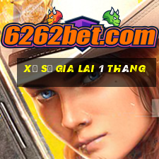 xổ số gia lai 1 tháng