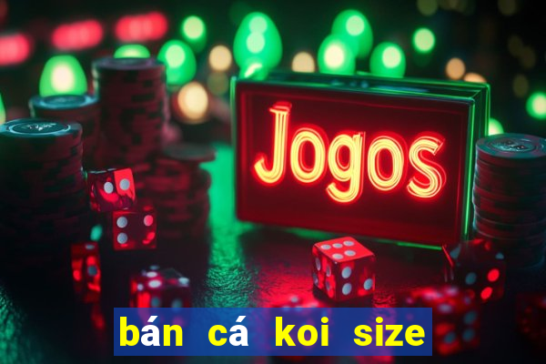 bán cá koi size nhỏ hà nội