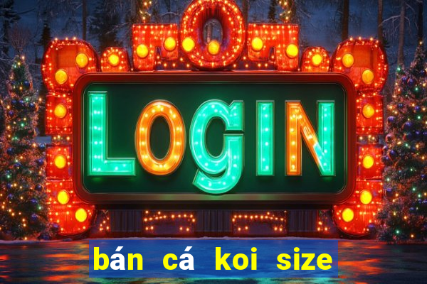 bán cá koi size nhỏ hà nội