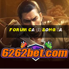 forum cá độ bóng đá