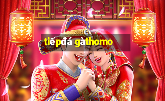 tiếp đá gà thomo