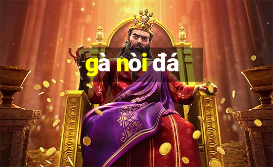 gà nòi đá