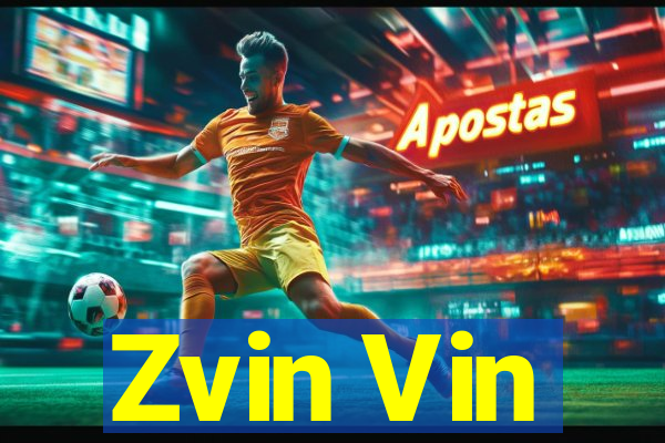 Zvin Vin