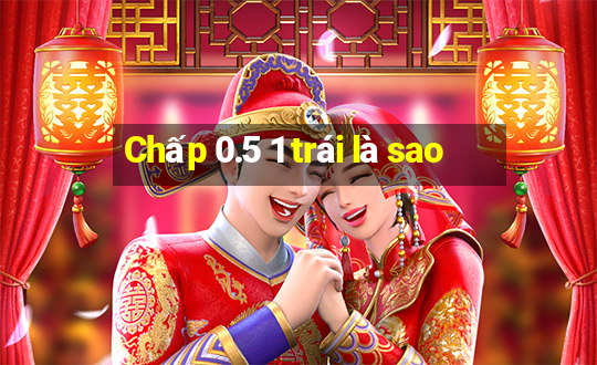 Chấp 0.5 1 trái là sao