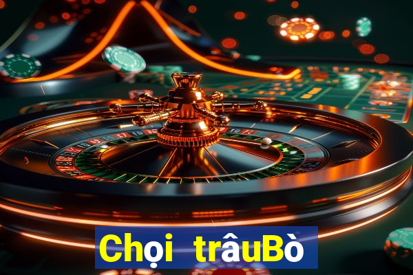 Chọi trâuBò tăng gấp mấy lần