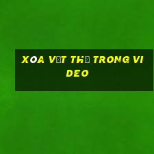 xóa vật thể trong video