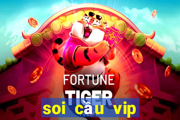 soi cầu vip miền nam