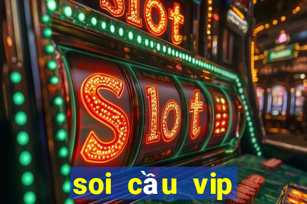 soi cầu vip miền nam