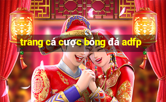 trang cá cược bóng đá adfp