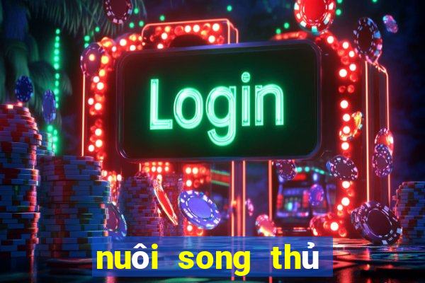 nuôi song thủ lô khung 3 ngày