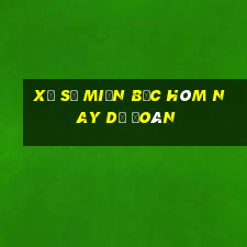 xổ số miền bắc hôm nay dự đoán