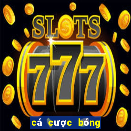 cá cược bóng đá online trangbet88