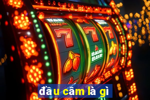 đầu câm là gì