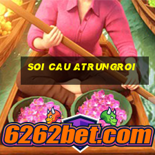 soi cau atrungroi